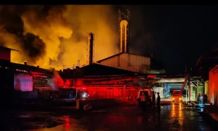 Asap Pekat Dari Kebakaran Pabrik Tapioka Di Lampung Tengah