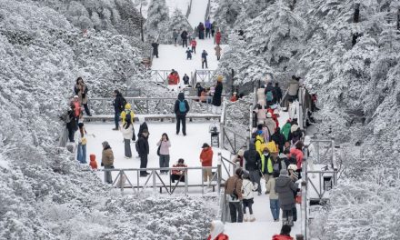 3 Negara Jadi Magnet Wisata Musim Semi Bagi Turis Asia