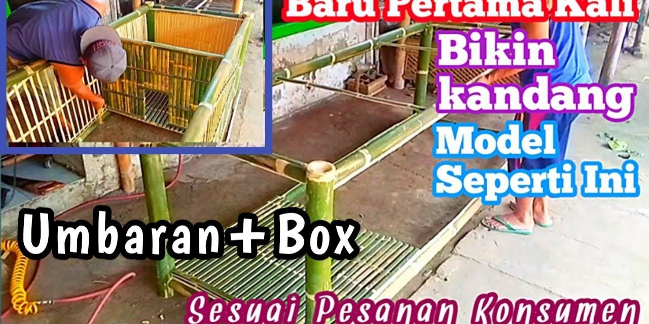 Model Kandang Ayam Dengan Area Umbaran Mini
