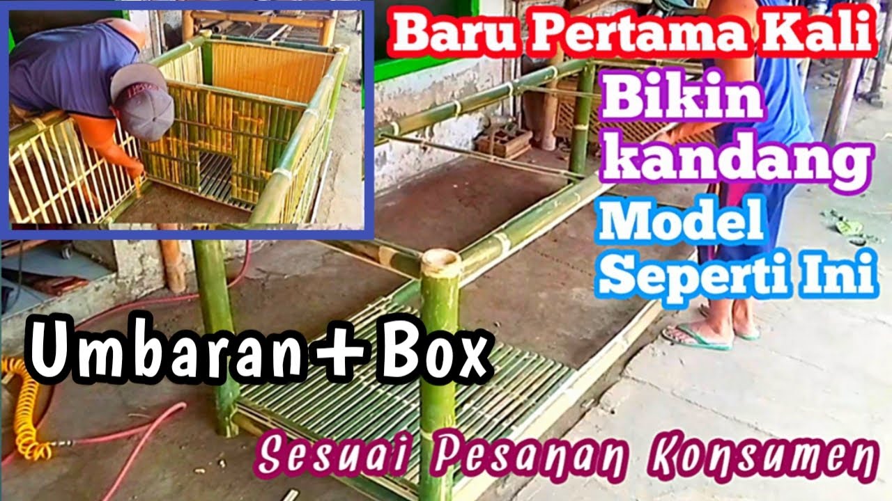 Model Kandang Ayam