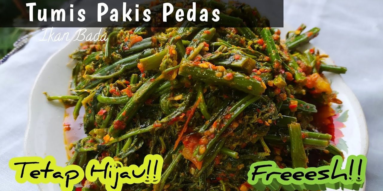 Tumis Pakis Khas Padang: Resep Tradisional Pedas Menggoda