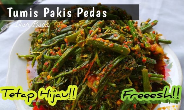 Tumis Pakis Khas Padang: Resep Tradisional Pedas Menggoda