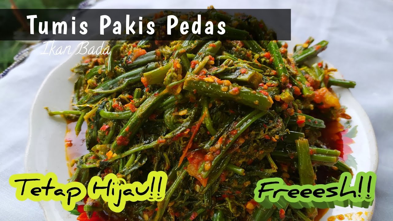 Tumis Pakis Khas Padang