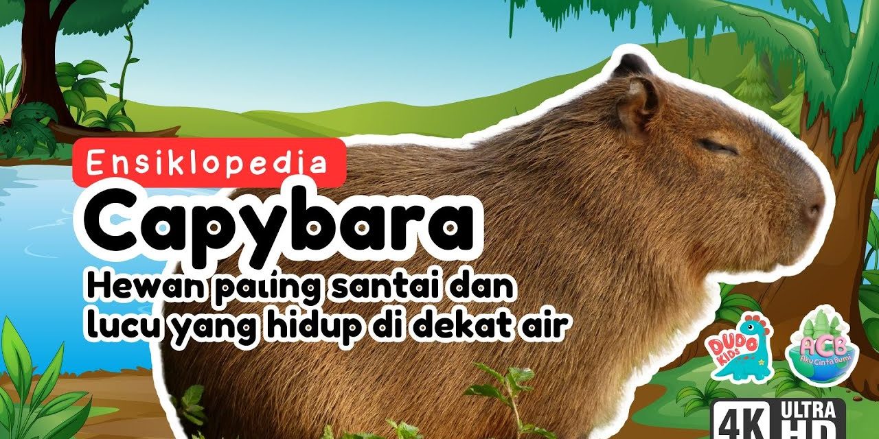 Kapibara Hewan Sifatnya Yang Paling Menarik Untuk Di Pelajari