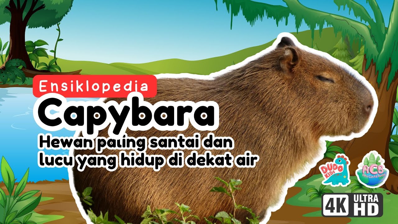Kapibara