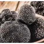 Keunikan Jamur Truffle Membuat Hidangan Anda Semakin Mahal